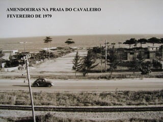 AMENDOEIRAS NA PRAIA DO CAVALEIRO
FEVEREIRO DE 1979
 