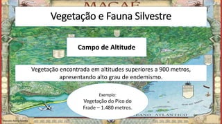 Vegetação e Fauna Silvestre
Campo de Altitude
Vegetação encontrada em altitudes superiores a 900 metros,
apresentando alto grau de endemismo.
Exemplo:
Vegetação do Pico do
Frade – 1.480 metros.
Marcelo Abreu Gomes
 