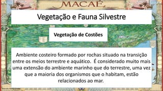 Vegetação e Fauna Silvestre
Vegetação de Costões
Ambiente costeiro formado por rochas situado na transição
entre os meios terrestre e aquático. É considerado muito mais
uma extensão do ambiente marinho que do terrestre, uma vez
que a maioria dos organismos que o habitam, estão
relacionados ao mar.
Marcelo Abreu Gomes
 