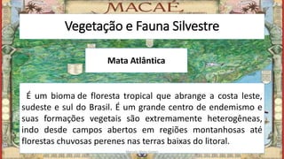 Vegetação e Fauna Silvestre
Mata Atlântica
éÉ um bioma de floresta tropical que abrange a costa leste,
sudeste e sul do Brasil. É um grande centro de endemismo e
suas formações vegetais são extremamente heterogêneas,
indo desde campos abertos em regiões montanhosas até
florestas chuvosas perenes nas terras baixas do litoral.
Marcelo Abreu Gomes
 