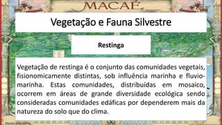 Vegetação e Fauna Silvestre
Restinga
Vegetação de restinga é o conjunto das comunidades vegetais,
fisionomicamente distintas, sob influência marinha e fluvio-
marinha. Estas comunidades, distribuídas em mosaico,
ocorrem em áreas de grande diversidade ecológica sendo
consideradas comunidades edáficas por dependerem mais da
natureza do solo que do clima.
Marcelo Abreu Gomes
 