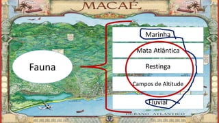 Marcelo Abreu Gomes
Fauna
Marinha
Mata Atlântica
Restinga
Campos de Altitude
Fluvial
 