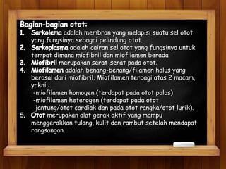 Apakah perbedaan antara jaringan otot dan jaringan tulang dalam fungsinya sebagai alat gerak