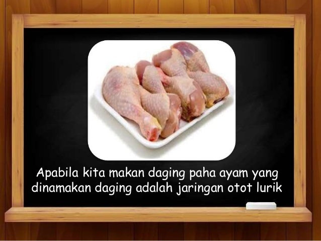 jenis jenis jaringan otot jenis jenis jaringan otot