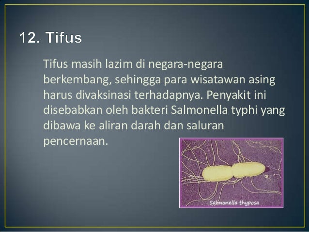  Macam macam penyakit menular
