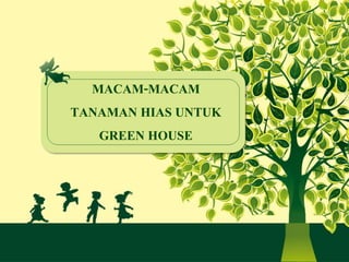 MACAM-MACAM
TANAMAN HIAS UNTUK
GREEN HOUSE
 