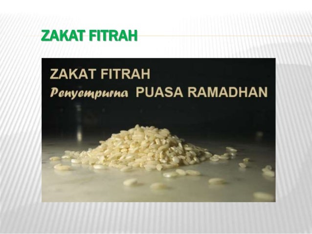 Zakat  Peternakan Bayar Zakat  Fitrah  Online Zakat  Infaq 