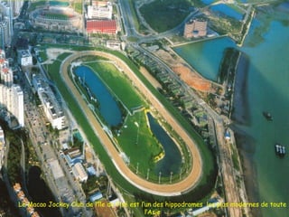 Le Macao Jockey Club de l’île de Pisé est l’un des hippodromes les plus modernes de toute
l’Asie
 