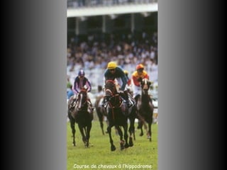 Course de chevaux à l’hippodrome
 