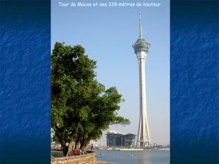 Tour de Macao et ses 338 mètres de hauteur
 