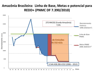 Reduções de Emissões
9.315.329.722 tCO2
96 97 98 99 00 01 02 03 04 05 06 07 08 09 10 11 12 13 14 15 16 17 18 19 20
5000
10000
15000
20000
25000
0
30000
Amazônia Brasileira: Linha de Base, Metas e potencial para
REDD+ (PNMC DF 7.390/2010)
Anos
Desmatamento(Km2)
3.544.438.206 tCO2 (2006 – 2012)
272 MtCO2 (Fundo Amazônia)
7,5%
 