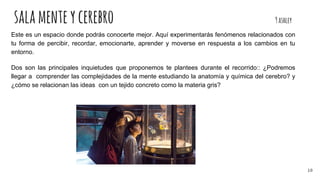 salamenteycerebro 9ashley
Este es un espacio donde podrás conocerte mejor. Aquí experimentarás fenómenos relacionados con
tu forma de percibir, recordar, emocionarte, aprender y moverse en respuesta a los cambios en tu
entorno.
Dos son las principales inquietudes que proponemos te plantees durante el recorrido:: ¿Podremos
llegar a comprender las complejidades de la mente estudiando la anatomía y química del cerebro? y
¿cómo se relacionan las ideas con un tejido concreto como la materia gris?
10
 