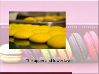 The upper and lower layer
 