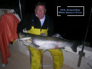 40 lb. Striped Bass
White Danny 3-3/4 oz.
macatacsportsfishing.com
6
 