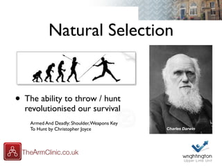 Natural Selection
• The ability to throw / hunt
revolutionised our survival
Armed And Deadly: Shoulder,Weapons Key
To Hunt by Christopher Joyce Charles Darwin
 