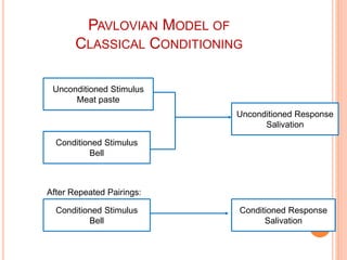 PAVLOVIAN MODEL OF
CLASSICAL CONDITIONING
Unconditioned Stimulus
Meat paste
Conditioned Stimulus
Bell
Conditioned Stimulus...