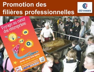 Promotion des
  JLPO
filières professionnelles
 