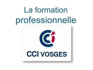 La formation
professionnelle
 