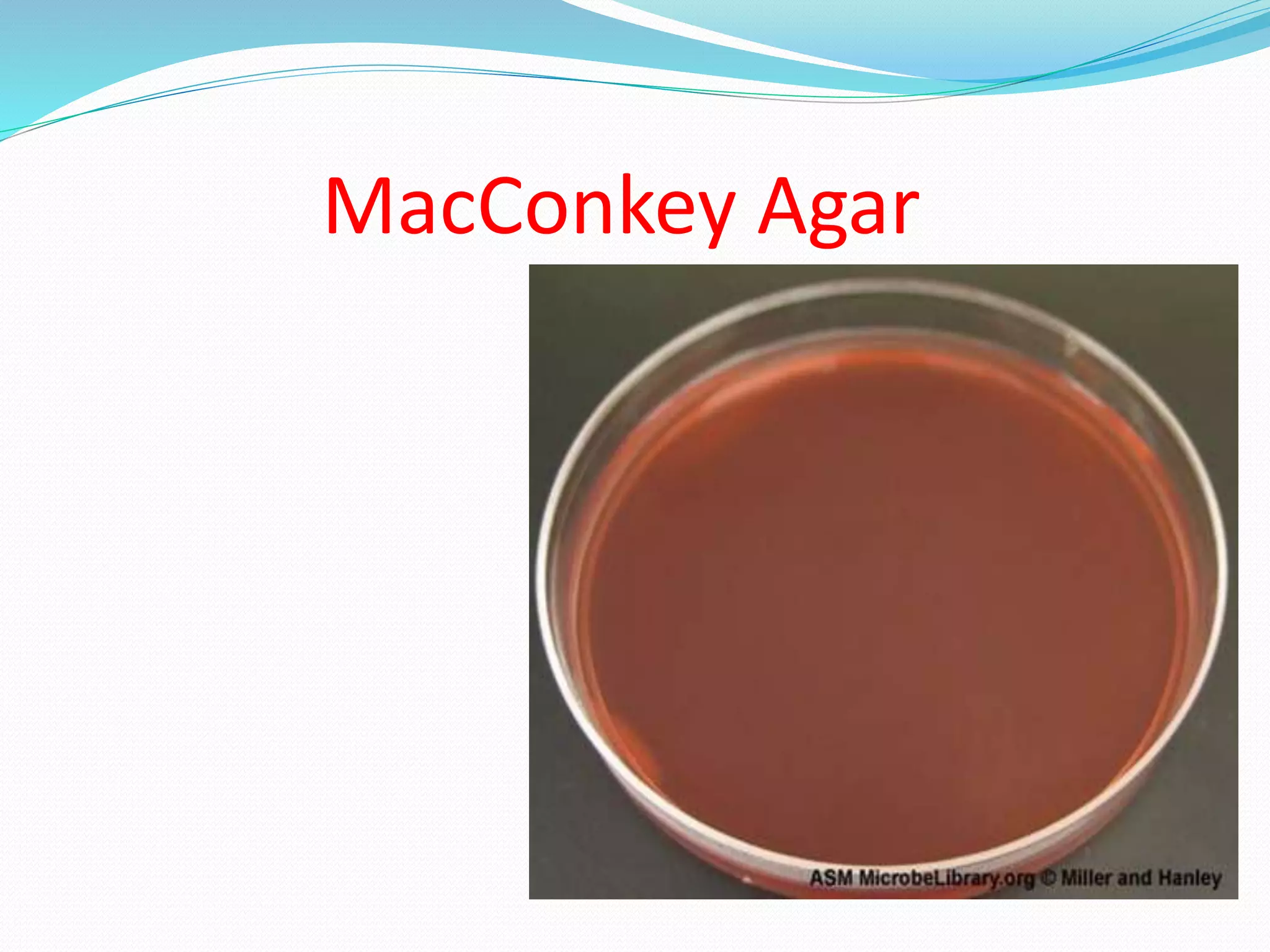 MacConkey Agar
 