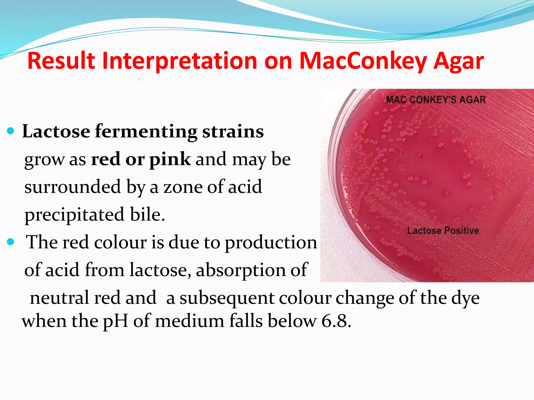 Result Interpretation on MacConkey Agar
 Lactose fermenting strains
grow as red or pink and may be
surrounded by a zone of acid
precipitated bile.
 The red colour is due to production
of acid from lactose, absorption of
neutral red and a subsequent colour change of the dye
when the pH of medium falls below 6.8.
 