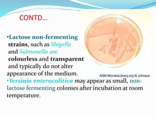 CONTD…
•Lactose non-fermenting
strains, such as Shigella
and Salmonella are
colourless and transparent
and typically do not alter
appearance of the medium.
•Yersinia enterocolitica may appear as small, non-
lactose fermenting colonies after incubation at room
temperature.
 