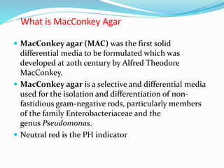 What is MacConkey Agar
 MacConkey agar (MAC) was the first solid
differential media to be formulated which was
developed at 20th century by Alfred Theodore
MacConkey.
 MacConkey agar is a selective and differential media
used for the isolation and differentiation of non-
fastidious gram-negative rods, particularly members
of the family Enterobacteriaceae and the
genus Pseudomonas.
 Neutral red is the PH indicator
 