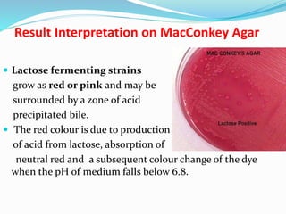 Result Interpretation on MacConkey Agar
 Lactose fermenting strains
grow as red or pink and may be
surrounded by a zone of acid
precipitated bile.
 The red colour is due to production
of acid from lactose, absorption of
neutral red and a subsequent colour change of the dye
when the pH of medium falls below 6.8.
 