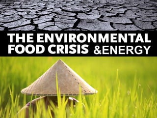 THE ENVIRONMENTAL
FOOD CRISIS &ENERGY

THE ENVIRONMENT’S ROLE IN
AVERTING FUTURE FOOD CRISES

A UNEP RAPID RESPONSE ASSESSMENT

 