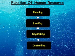 BENEFITS   MAC Card (McDonald's Gold Card membership)  Haircut Discounts   Wages increases   Life insurance  Stock Purchase Plan  McDirect Shares   Paid Vacation   Bonus Scheme  Education Support  Extracurricular Crew activities  Scholarship Program  Opportunities for advancement   
