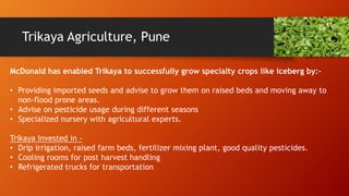 Trikaya Agriculture, Pune
McDonald has enabled Trikaya to successfully grow specialty crops like iceberg by:-
• Providing imported seeds and advise to grow them on raised beds and moving away to
non-flood prone areas.
• Advise on pesticide usage during different seasons
• Specialized nursery with agricultural experts.
Trikaya Invested in -
• Drip irrigation, raised farm beds, fertilizer mixing plant, good quality pesticides.
• Cooling rooms for post harvest handling
• Refrigerated trucks for transportation
 
