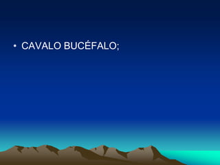 • CAVALO BUCÉFALO;
 