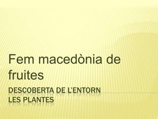 descoberta de l’entornLes plantes  Fem macedònia de fruites 
