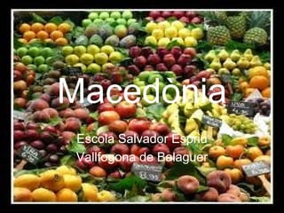 Macedònia Escola Salvador Espriu Vallfogona de Balaguer 
