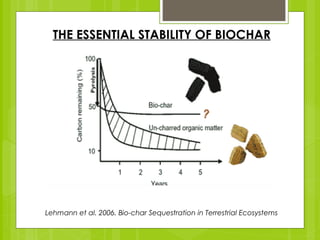 CAN BIOCHAR AMENDMENTS IMPROVE SOIL QUALITY AND REDUCE CO2? A Climate ...