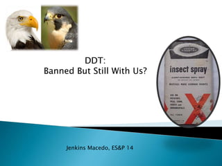 DDT:
Banned But Still With Us?
Jenkins Macedo, ES&P 14
 