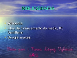 BIBLIOGRAFIABIBLIOGRAFIA
• Wikipedia.Wikipedia.
• Libro de Coñecemento do medio, 6º,Libro de Coñecemento do medio, 6º,
SantillanaSantillana
• Google imaxes.Google imaxes.
 