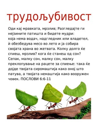 Macedonian Motivational Diligence Tract.pdf