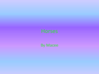 Horses By Macee  