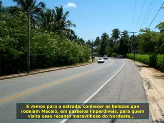E vamos para a estrada, conhecer as belezas que rodeiam Maceió, em passeios imperdíveis, para quem visita esse recanto maravilhoso do Nordeste...  