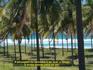 A paisagem no caminho é de tirar o fôlego. E muita beleza para se ver.  