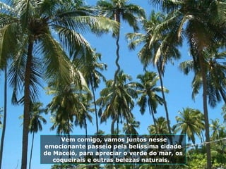 Vem comigo, vamos juntos nesse emocionante passeio pela belíssima cidade de Maceió, para apreciar o verde do mar, os coqueirais e outras belezas naturais.  
