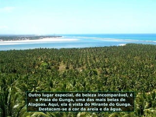 Outro lugar especial, de beleza incomparável, é a Praia do Gunga, uma das mais belas de Alagoas. Aqui, ela é vista do Mirante do Gunga.  Destacam-se a cor da areia e da água. 