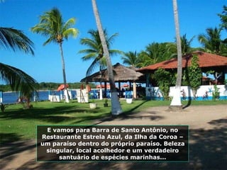E vamos para Barra de Santo Antônio, no Restaurante Estrela Azul, da Ilha da Coroa – um paraíso dentro do próprio paraíso. Beleza singular, local acolhedor e um verdadeiro santuário de espécies marinhas... 