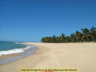 Praia do Gunga Barra de São Miguel grande Maceió