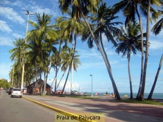 Praia de Pajuçara