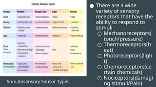 Somatosensory Sensor Types
● There are a wide
variety of sensory
receptors that have the
ability to respond to
stimuli
○ Mechanoreceptors(
touch/pressure)
○ Thermoreceptors(h
eat)
○ Photoreceptors(ligh
t)
○ Chemoreceptors(ce
rtain chemicals)
○ Nociceptors(damagi
ng stimuli/Pain)
 