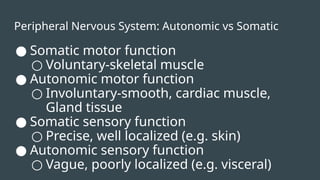 Peripheral Nervous System: Autonomic vs Somatic
● Somatic motor function
○ Voluntary-skeletal muscle
● Autonomic motor function
○ Involuntary-smooth, cardiac muscle,
Gland tissue
● Somatic sensory function
○ Precise, well localized (e.g. skin)
● Autonomic sensory function
○ Vague, poorly localized (e.g. visceral)
 