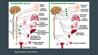 Autonomic Overview
 