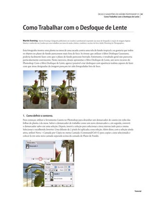 41DICAS E SUGESTÕES DO ADOBE PHOTOSHOP CS
Como Trabalhar com o Desfoque de Lente
Tutorial
Como Trabalhar com o Desfoque de Lente
Martin Evening Martin Evening é fotógrafo publicitário em Londres e proﬁssional respeitado nas áreas de fotograﬁa e criação de imagens digitais.
Martin é conhecido em Londres por seus trabalhos nas áreas de moda e beleza e também é escritor do livro Adobe Photoshop for Photographers.
Esta fotograﬁa mostra uma planta na mesa de uma sacada contra uma tela de fundo tropical e eu gostaria que todos
os objetos no plano de fundo parecessem mais fora de foco. Se tivesse que utilizar o ﬁltro Desfoque Gaussiano,
poderia facilmente fazer com que o plano de fundo parecesse borrado. Entretanto, o resultado geral não pareceria
particularmente convincente. Neste exercício, desejo apresentar o ﬁltro Desfoque de Lente, um novo recurso do
Photoshop. Com o ﬁltro Desfoque de Lente, agora é possível criar desfoques com aparência realista capazes de fazer
com que áreas designadas da imagem pareçam ter sido fotografadas fora de foco.
1. Como deﬁnir o contorno.
Para começar, utilizei a ferramenta Caneta no Photoshop para desenhar um demarcador de caneta em volta das
folhas da planta e da mesa. Salvei o demarcador de trabalho como um novo demarcador e, em seguida, converti
o demarcador salvo em uma seleção. Depois, inverti a seleção para selecionar a área externa indo para o menu
Selecionar e escolhendo Inverter. Uma difusão de 2 pixels foi aplicada a essa seleção.Além disso, com a seleção ainda
ativa, utilizei Nova > Camada por Cópia no menu Camada (Command/Ctrl+J) para copiar a área selecionada e
colocá-la em uma nova camada separada acima da camada de Plano de Fundo.
 