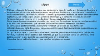 El tórax es la parte del cuerpo humano que está entre la base del cuello y el diafragma. Contiene a
los pulmones, el corazón, voluminosos vasos sanguíneos, linfáticos y la arteria aorta (ascendente,
arco y descendente), la vena cava inferior, la cadena ganglionar simpática de donde salen las ramas
esplácnicas, las venas ácigos (mayor y menor), el esófago y el conducto torácico. Su división
fundamentalmente consiste en el mediastino y las dos cavidades pulmonares.
Tiene forma de cono truncado o pirámide y su pared está formada por los arcos costales (costillas)
y los músculos intercostales, que se unen anteriormente al hueso esternón por medio
de cartílagos y posteriormente a la columna vertebral. La función de esta formación
osteocartilaginosa, es la de proteger esto órganos internos de los traumatismos mecánicos, que de
otra manera podrían lesionarlos.
La caja torácica tiene la particularidad de ser expansible, permitiendo la inspiración (inhalación).
Además, su último par de costillas son flotantes, ya que están unidas solo a las vértebras, en la
parte posterior, lo que permite su ensanchamiento en el embarazo.
El nombre deriva del Latín thorax, ; que significa propiamente coraza
tórax Índice
3/29/2023
machacacayoerick@gmail.com 3
 